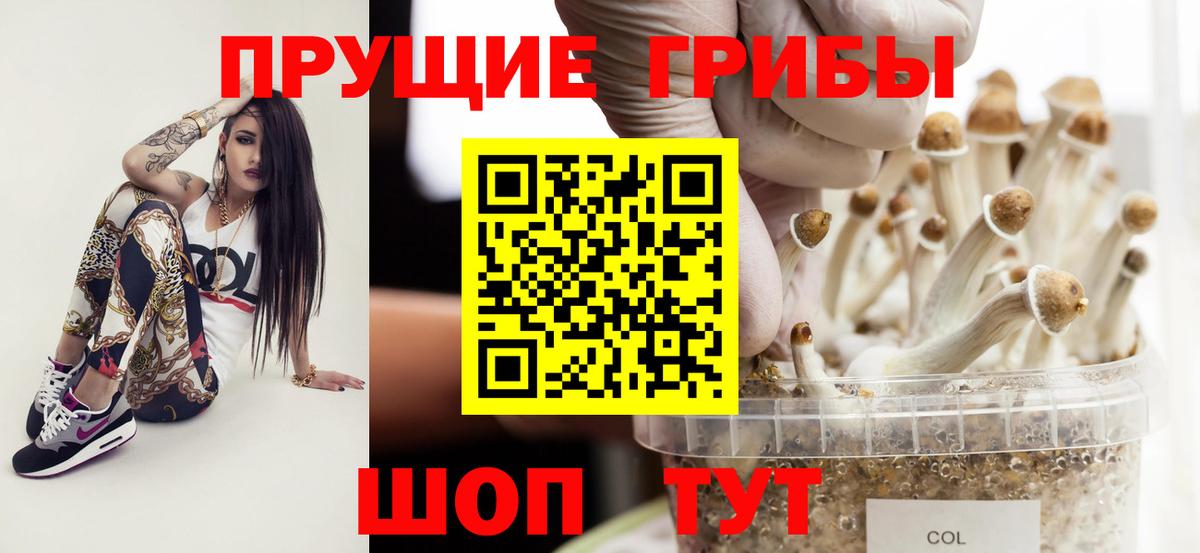 Чита  Псилоцибиновые грибы GOLDEN TEACHER  Вход с VPN 